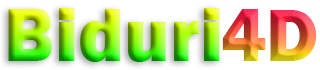 BIDURI4D